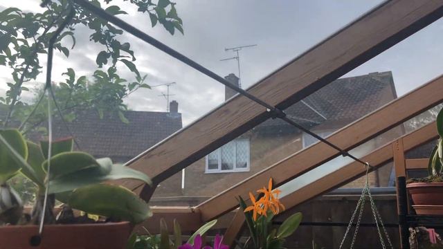 Tепличные истории. Oбзор смотреть онлайн