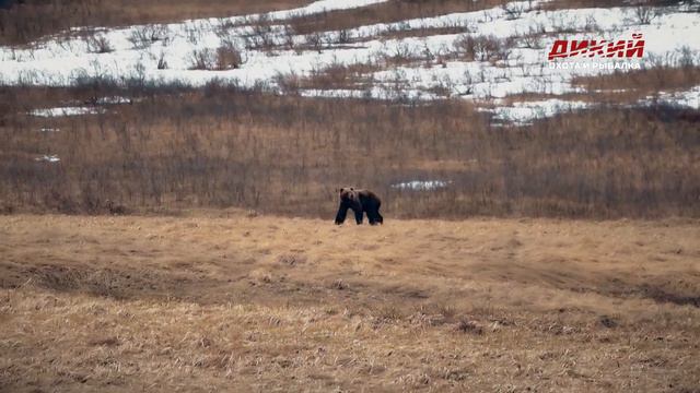 Российский Суперкубок.