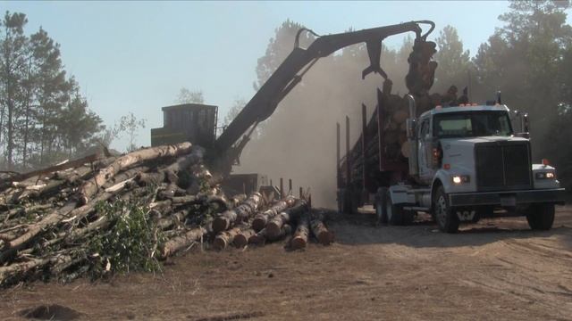 Timber Harvesting's 2018 Logging Business of the Year: Log Creek Timber Co. смотреть онлайн
