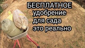 БЕСПЛАТНОЕ удобрение сада вполне возможно//Жду посылку с растюхами//О планах и новой клумбе