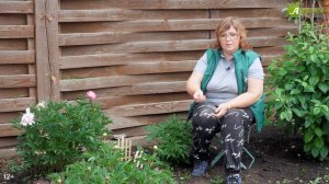 Уход и подкормка пионов. Что делать, если не цветут пионы? Топ-6 причин, почему пионы не цветут