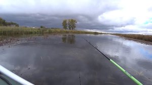 ЗАБРАЛСЯ в ДИКИЙ РУЧЕЙ думал РЫБЫ Нет, а ТУТ ПОКЛЕВКА | ТОП ПРИМАНКА для ТАКИХ РУЧЬЕВ | Рыбалка2022