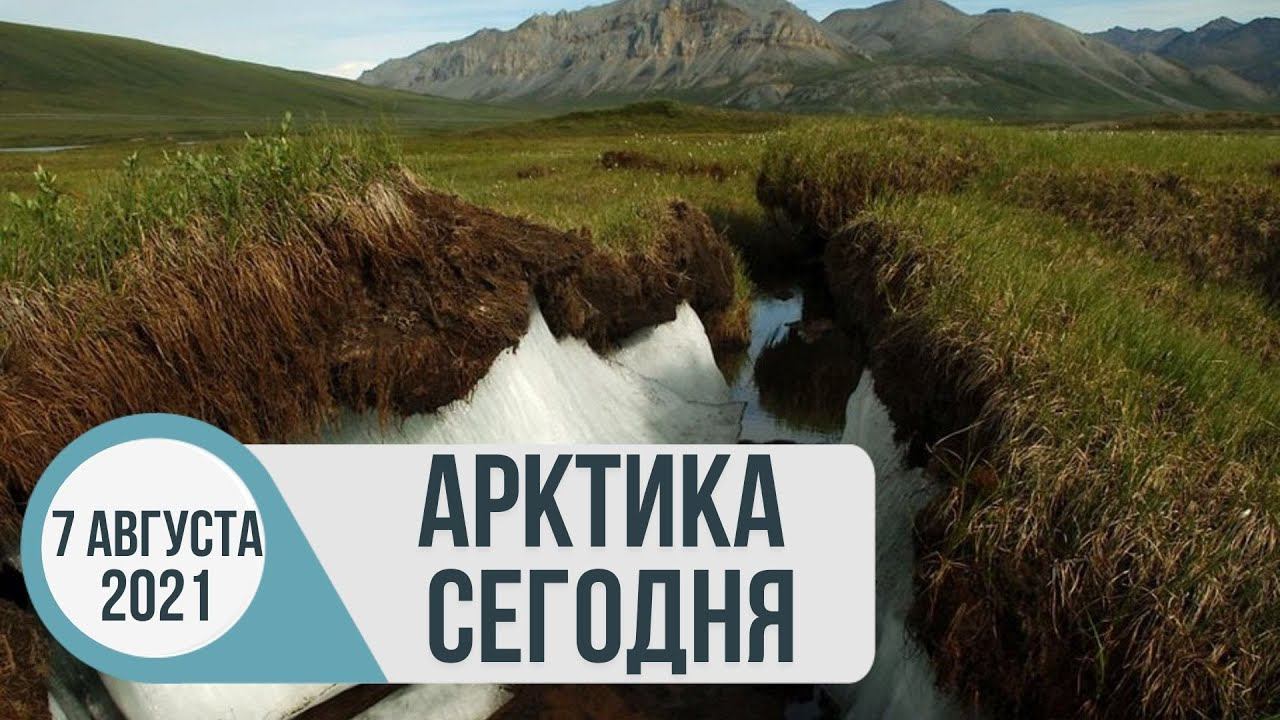 Арктика сегодня: вечная мерзлота, атомные электростанции, дискуссионный клуб ПОРА