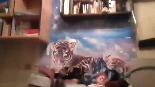 ПОТОЛОК, СТЕНА, ОКНО. смотреть онлайн