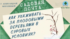 Садовая почта: Как ухаживать за плодовыми деревьями в суровых условиях? Выпуск 6