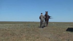 Мечта коневода реализовалась благодаря фонду финансовой поддержки сельского хозяйства