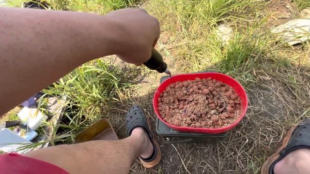 Отличные выходные на берегу, отдых, рыбалка на бойлы удалась!!!#carpfishing #рыбалкакорея #рыбалов