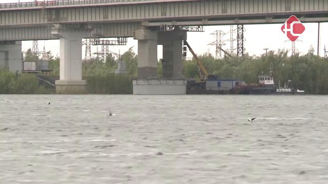 "Окно в город" от телеоператора Дмитрия Смирнова смотреть онлайн