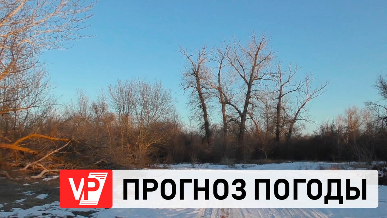 ВОЛГОГРАДЦАМ ПООБЕЩАЛИ ВОЛНООБРАЗНОЕ РАЗВИТИЕ ПОГОДНЫХ ПРОЦЕССОВ