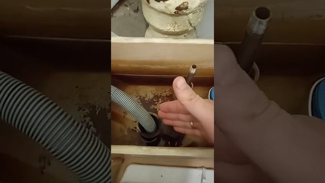 Подключить стиральную машину через туалет смотреть онлайн