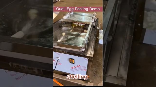 Say Hello to Eruis Quail Egg Peeling Equipment