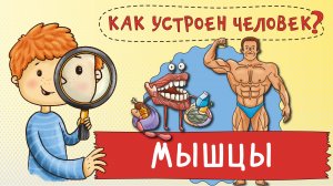 Мультфильм. Как работают мышцы? Путешествие по вашему телу. Развивающий мультик для детей.