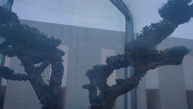 Краснодар магазин футбольного клуба «Краснодар»улица Восточно-Кругликовская, 10А.