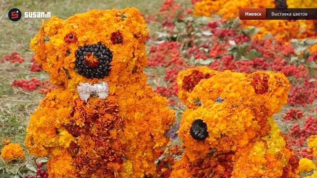 Выставка цветов открылась в Ижевске смотреть онлайн