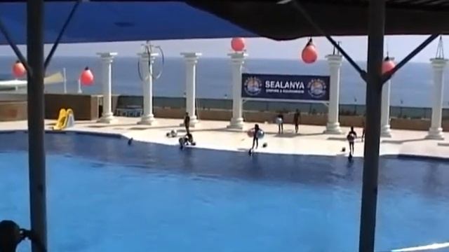Турция. Дельфинарий. смотреть онлайн