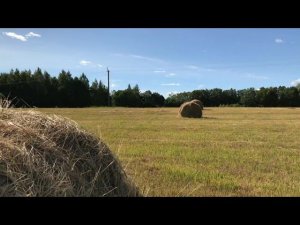 ЖУРАВЛИ. THE HARDKISS. Юлия Санина.