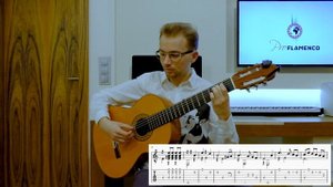 Malaguena Flamenco Guitar Lesson (Malaguena Guitar Tab Easy)