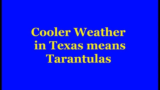 Tarantula-3 смотреть онлайн