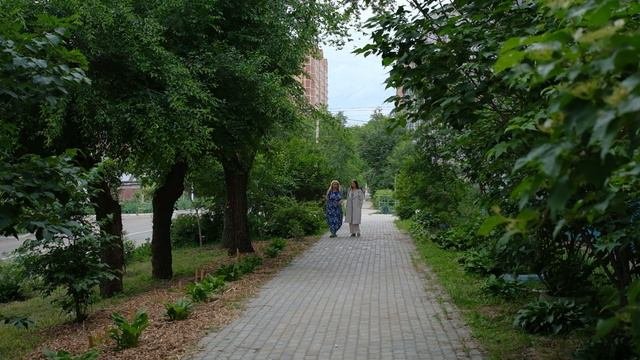 Благовещенцы заселяют придомовые территории необычной растительностью