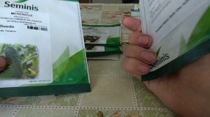 Какой огурец лучше? Амур, Артист, Кибрия, Меренга, Герман или Лютояр