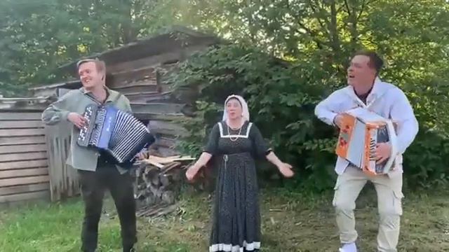 Бодрая песня под гармонь в исполнении Трошева Владимира и ансамбля Гуляночка