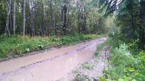 Ока на резине от мотоблока 2