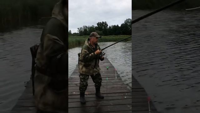 Рыбалка Муром- Вербовские Пруды 19 Июля 2022 Трофейный Карп на Днюху смотреть онлайн