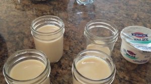 Making Yogurt from Soy Milk