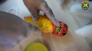 Волшебный Единорог Жора и Вскрытие ПРИШЕЛЬЦА! Treasure X Aliens