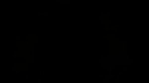 !m19 (Чемпионы мира 2002 года по CS).avi