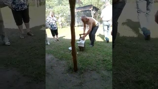 Уха из головы сома.