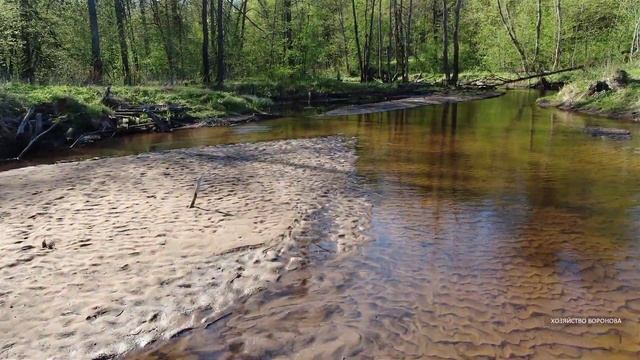 Почему карпы растут в 5-6 раз быстрее, чем в другом пруду смотреть онлайн