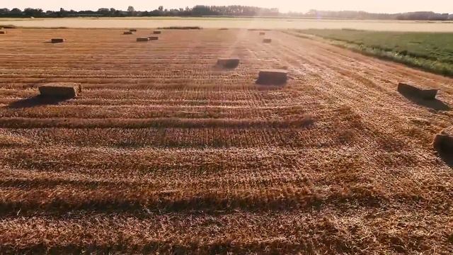 3 Года без Лета Что же произошло? Почему от нас все скрывают? [Ложь историков. Вся правда о нас] смотреть онлайн