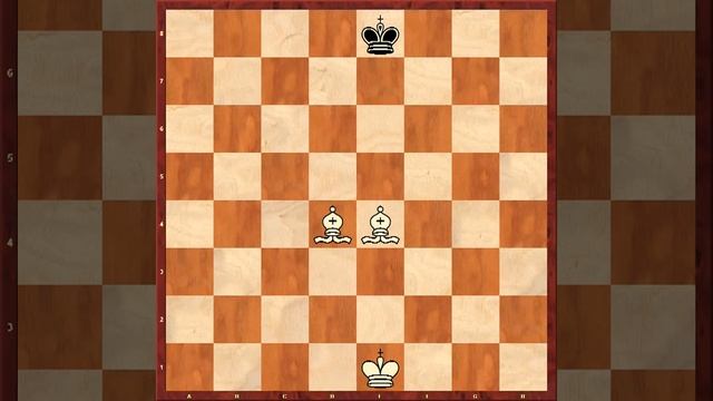 УРОК №1 КАК ИГРАТЬ В ШАХМАТЫ?