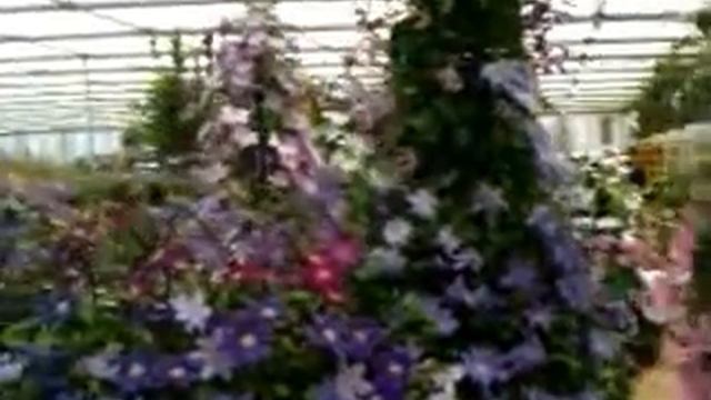 Chelsea Flower Show 2011 смотреть онлайн