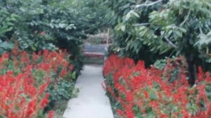 Биз тобу - Сендей мага