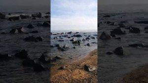 ОСЕНЬ ВО ВЛАДИВОСТОКЕ, ВЛАДИВОСТОК ПОГОДА В СЕНТЯБРЕ. МОРЕ!!!)))