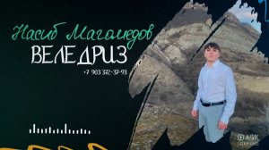 Насиб Магомедов - Веледриз 2024