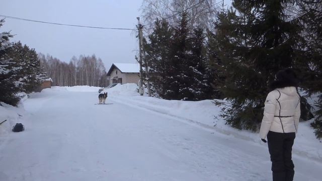 Необычный комплекс по ОКД выполняет ВЕО.