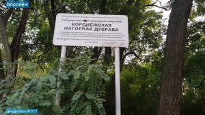 Воронеж: дендрарий, парки и скверы на севере города