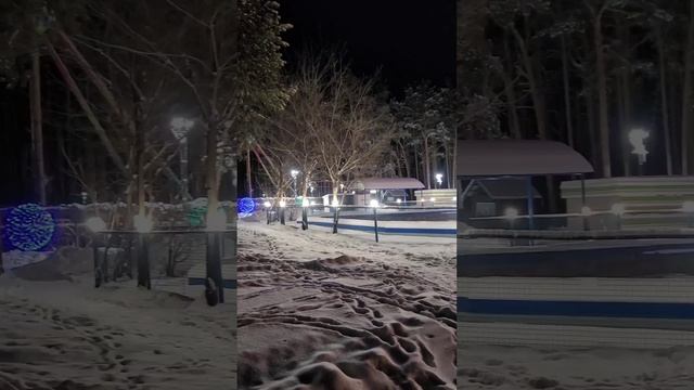 Ночной зимний Парк