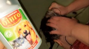 Как избавиться от вшей и гнид легко