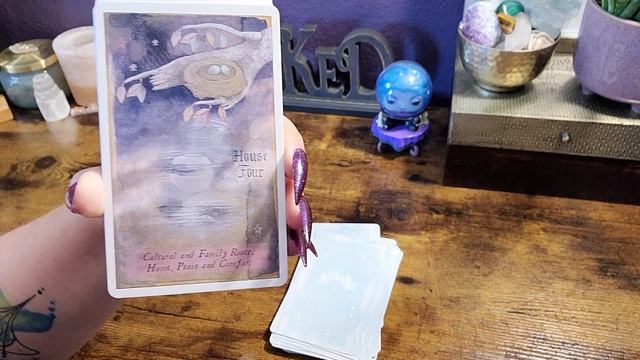 Heavenly Bodies Astrology Deck | Unboxing and Flip Through смотреть онлайн