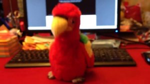 ГОВОРЯЩИЙ ПОПУГАЙ ПОВТОРЮШКА купить Москва, Санкт Петербург 1200 рублей игрушка