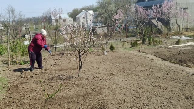 Вася меня похвалил. Хейтеры налетай !!! смотреть онлайн