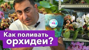 ПОЛИВАЙТЕ ОРХИДЕИ ТОЛЬКО ТАК, и корни не будут гнить, сохнуть и раскисать!
