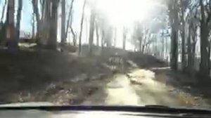 Беседка семи ветров 3.01.2023