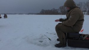 ЛОВЛЯ ЧЕХОНИ СО ЛЬДА ! Рыбалка на Оке в феврале !