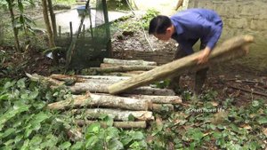 Pig roast and New Year's reunion. Robert | Green forest life