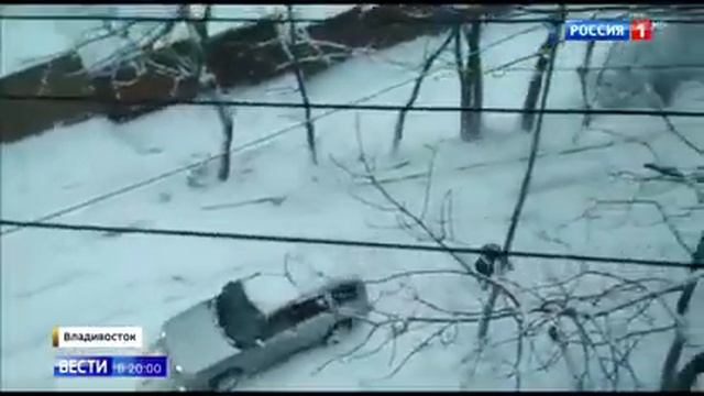 Первый снегопад в Новосибирске 2017